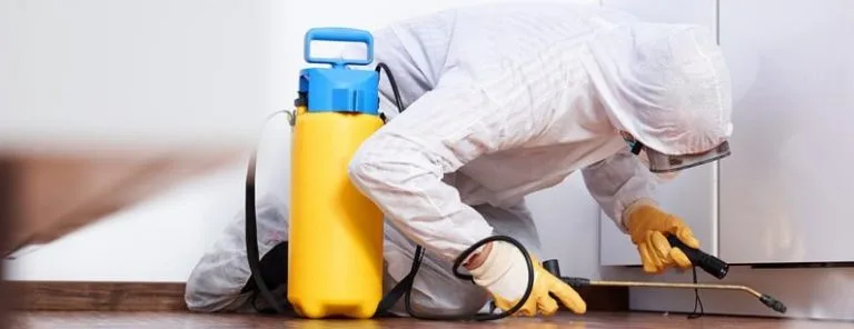 Técnico com pulverizador amarelo aplicando produto junto ao rodapé